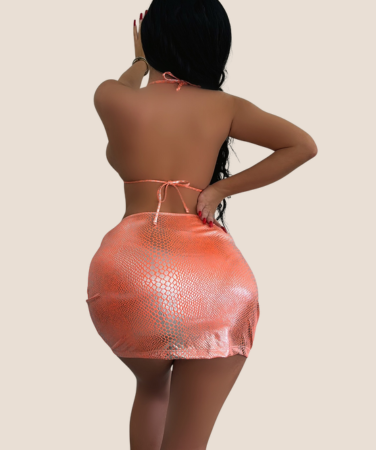 Glossy 3PC Halter Bikini Set – Sexy Backless Swimwear